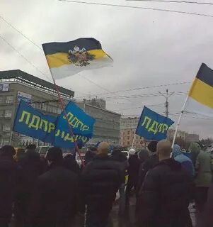 5 ноября 2011 года