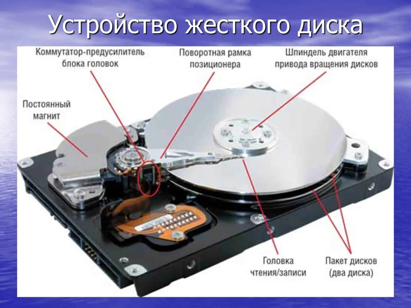 Считывание информации с файла с. HDD 3.5 устройство. HDD (накопители на жёстких дисках), SSD (твердотельные накопители). Строение жесткого диска HDD. Из чего состоит Винчестер.