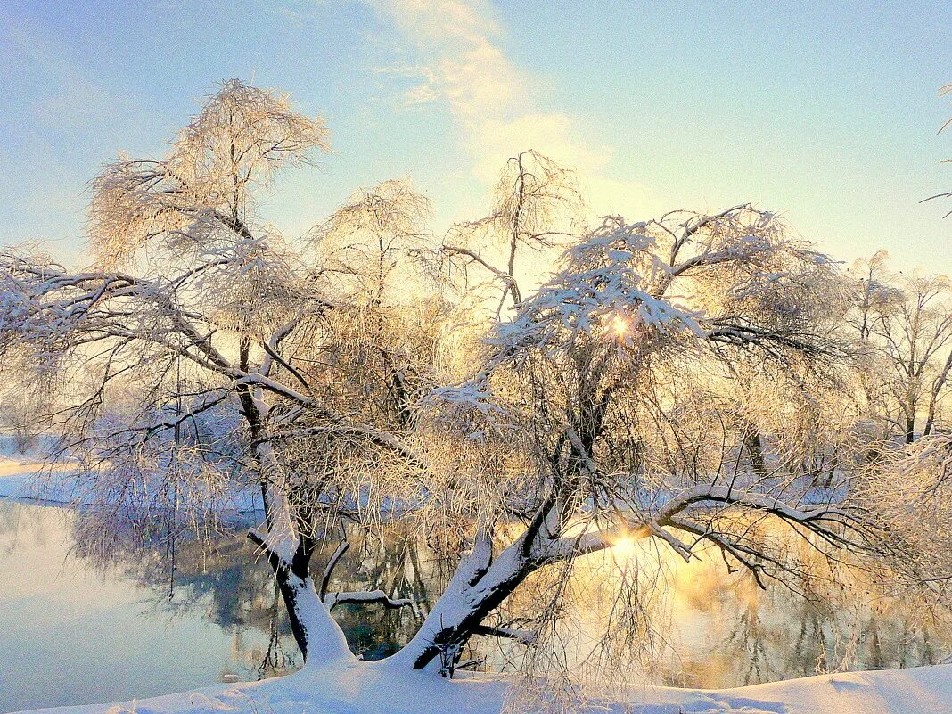 Стужа картинки. Морозная стужа. Разгулялась зима. Стужа природа. Пелена снега.