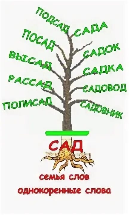 Дерево с однокоренными словами. Однокоренные слова схема. Проект семья слов 3 класс. Словесное дерево с однокоренными словами. Дерево слов 5 класс