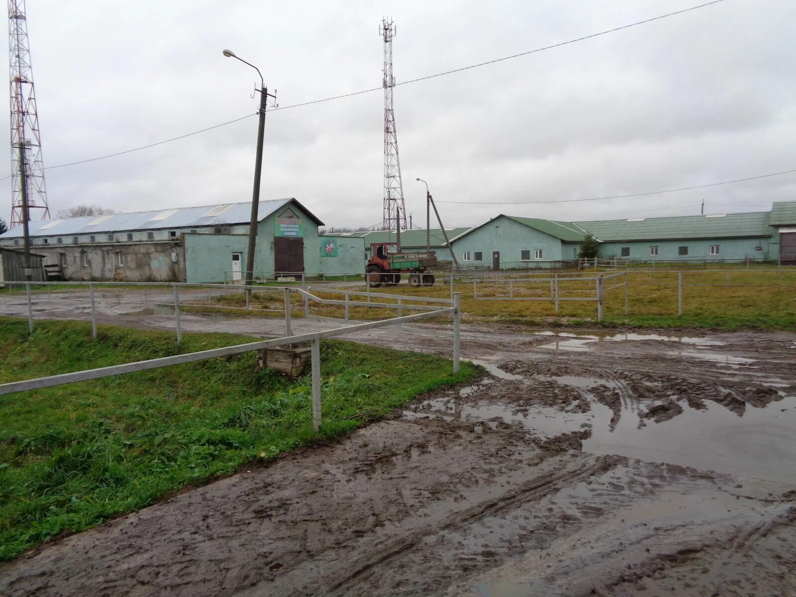 Савино новгородская область. ЗАО Савино Новгородская область. Савино Новгородский район ферма.