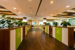 Ереван ланч. Арт ланч ереван. Арт ланч ереван ростовян. Арт ланч парк победы. Итальянский бизнес ланч.