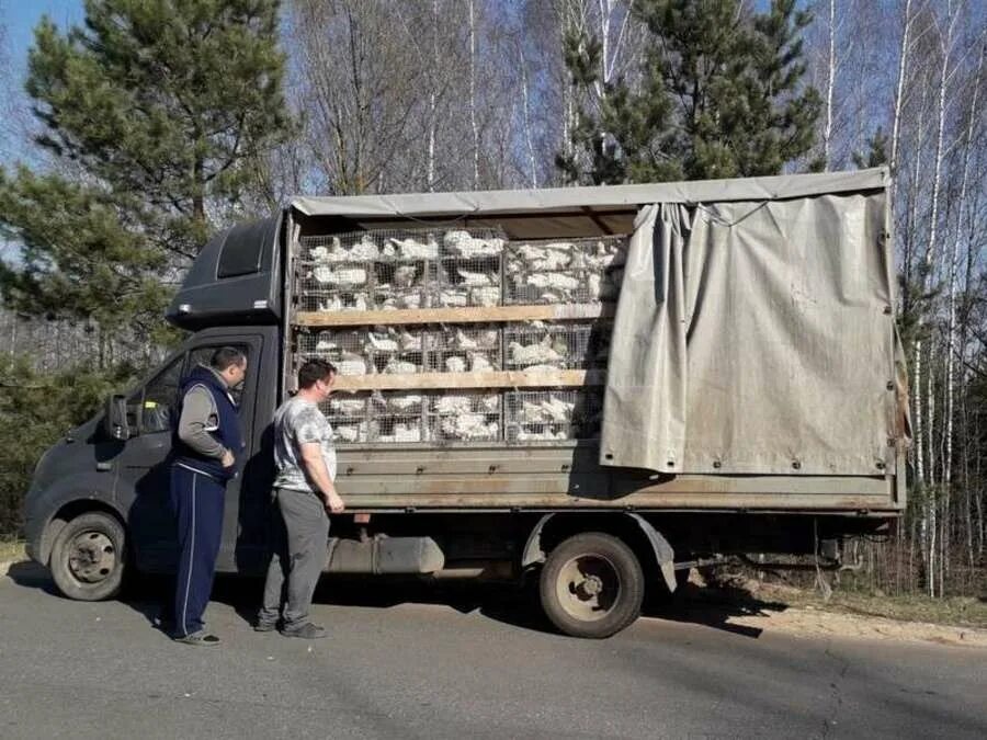 Утильсбор из белоруссии