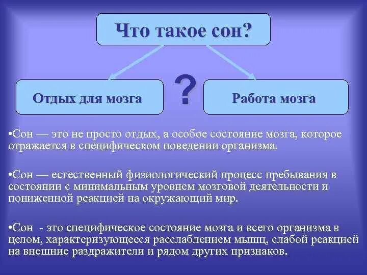 Спи что это такое. Сон это определение. что такое сон простыми словами. что такое сон отдых для мозга или работа мозга. про сон.