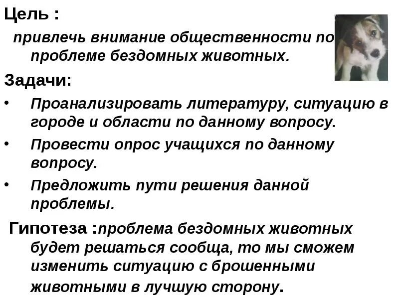 Цель про животных. Задачи бездомных животных. Цели бездомные животные. Задачи по теме бездомные животные. Цель проекта о бездомных животных.