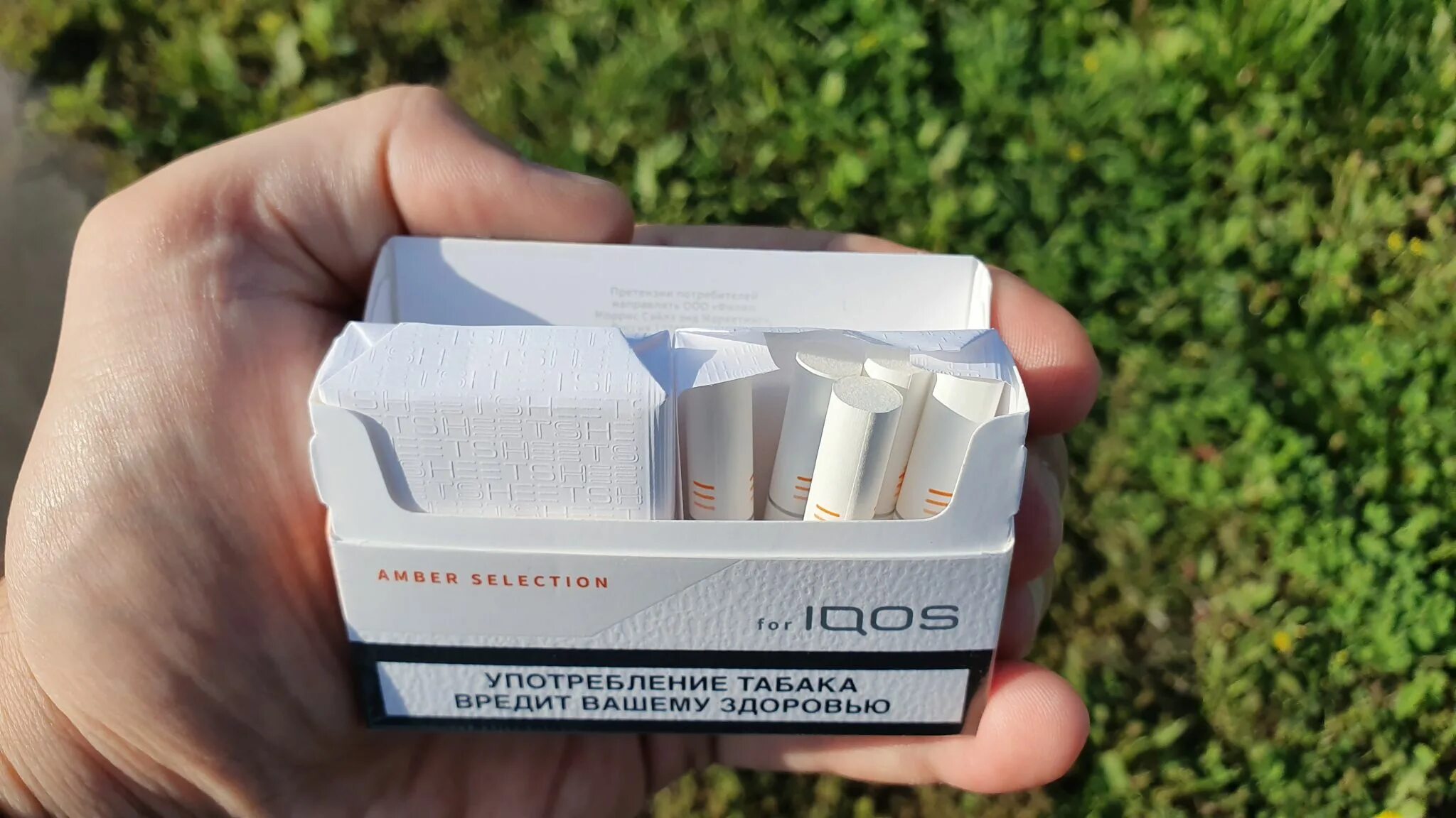 Пачка стиков iqos