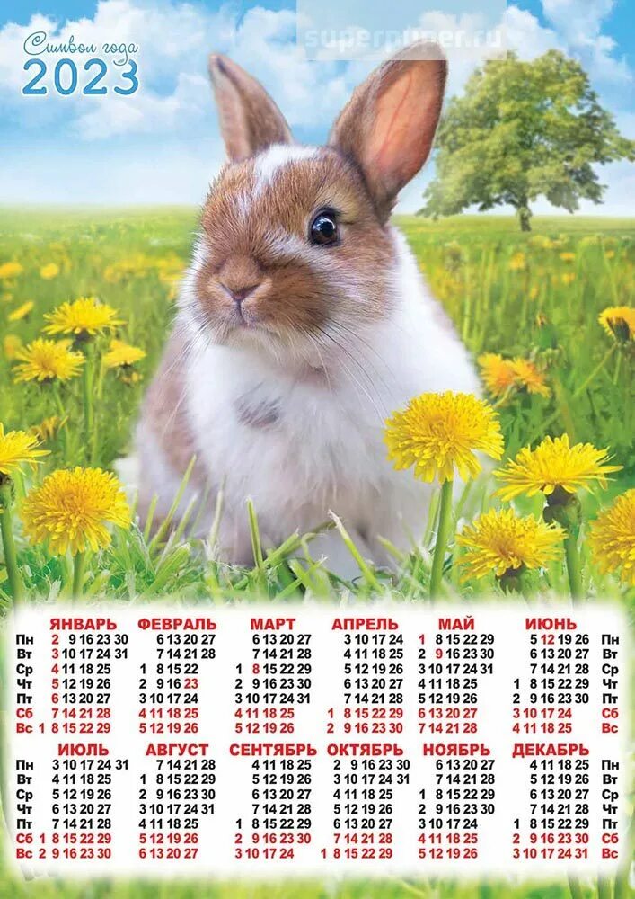 Листовой календарь 2023 а2. Календарь листовой настенный на 2023. Календарь на 2023 год с кроликом. Календарь на 2023 год.