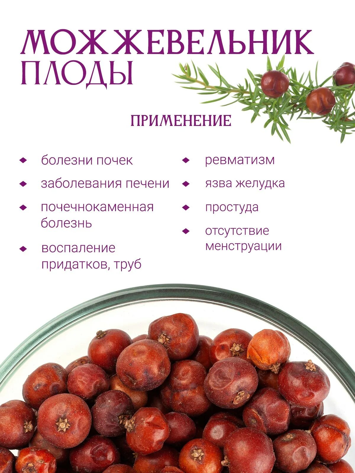 можжевельник инструкция по применению. можжевельника плоды красногорсклексредства. можжевельник инструкция по применению масло эфирное. можжевельник обыкновенный лекарство. можжевельника обыкновенного плоды гф.