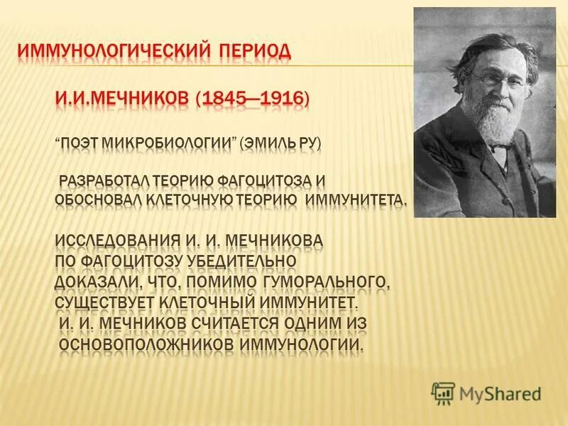 теория иммунитета мечникова кратко