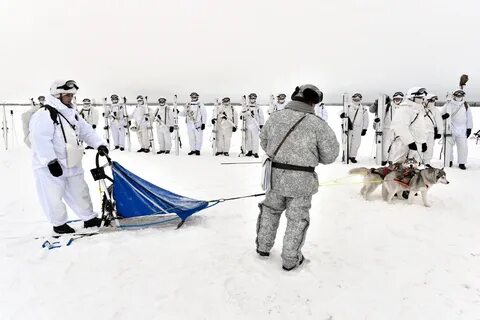 80 мотострелковая арктическая