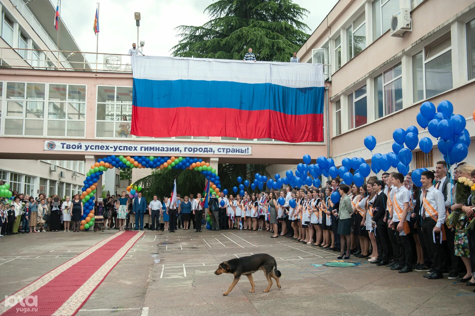 Сочи, гимназия №15. 8 школа сочи. Гимназия 9 сочи. 8 гимназия сочи внутри. Гимназия 13 махачкала.