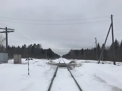 Погода колю