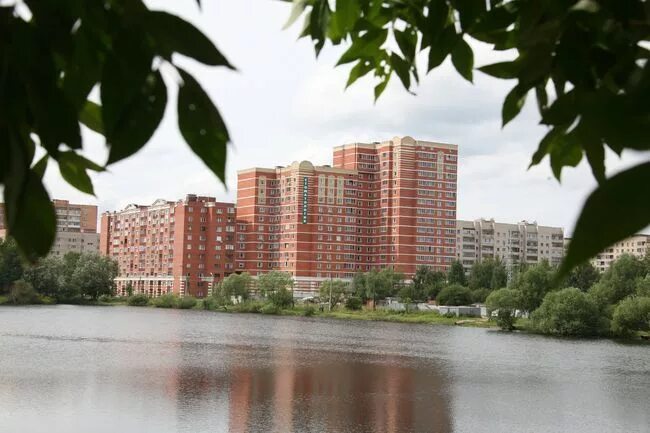 Осадка в лобне