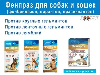 Таблетки от глистов для кошек фенпраз