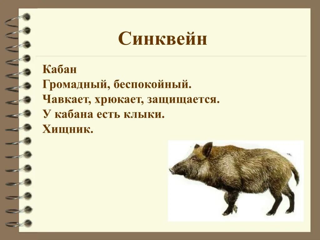 Произведение кабан 4 класс. Синквейн кабан Чарушина. Синквейн по рассказу кабан Чарушин. Синквейн по рассказу кабан Чарушин 4 класс. Е И Чарушин кабан 4 класс.