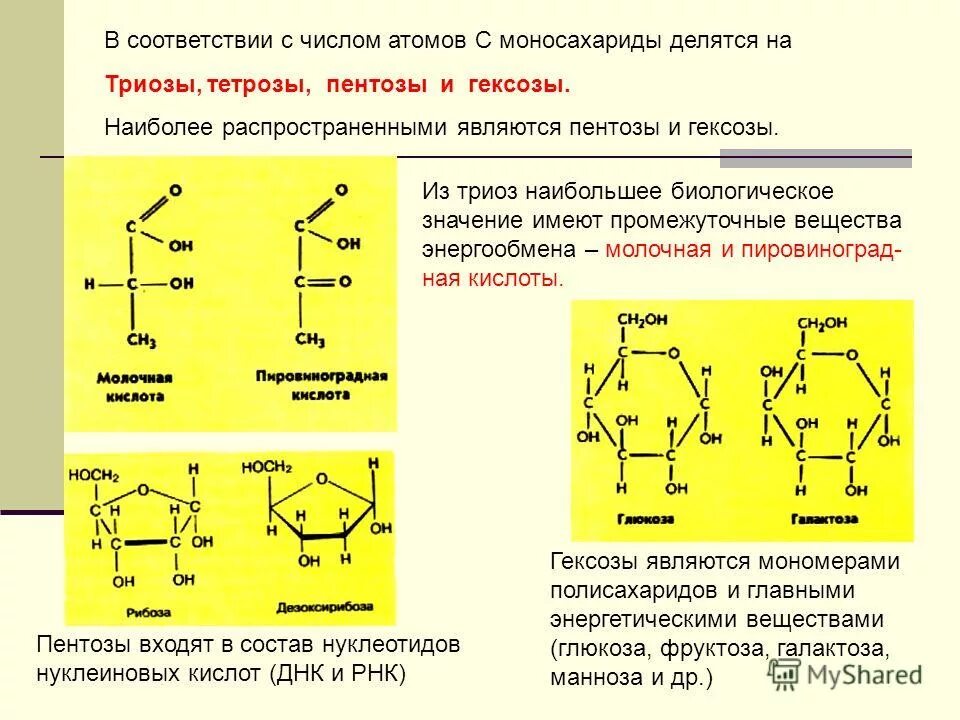 классификация пентоз. свойства многоатомных спиртов реакции. превращение д рибозы в д эритрозу. к углеводам не относятся тетрозы пентозы. альдозы и кетозы.