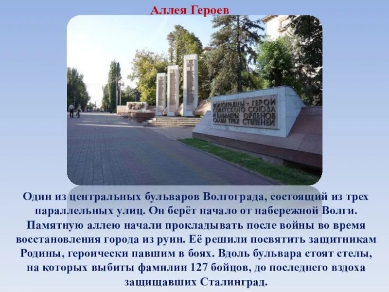 Аллеи презентация. Аллеи деревьева италии. Что такое слово аллея детям. Чапаевск парк аллея деревья. Доклад про аллею.