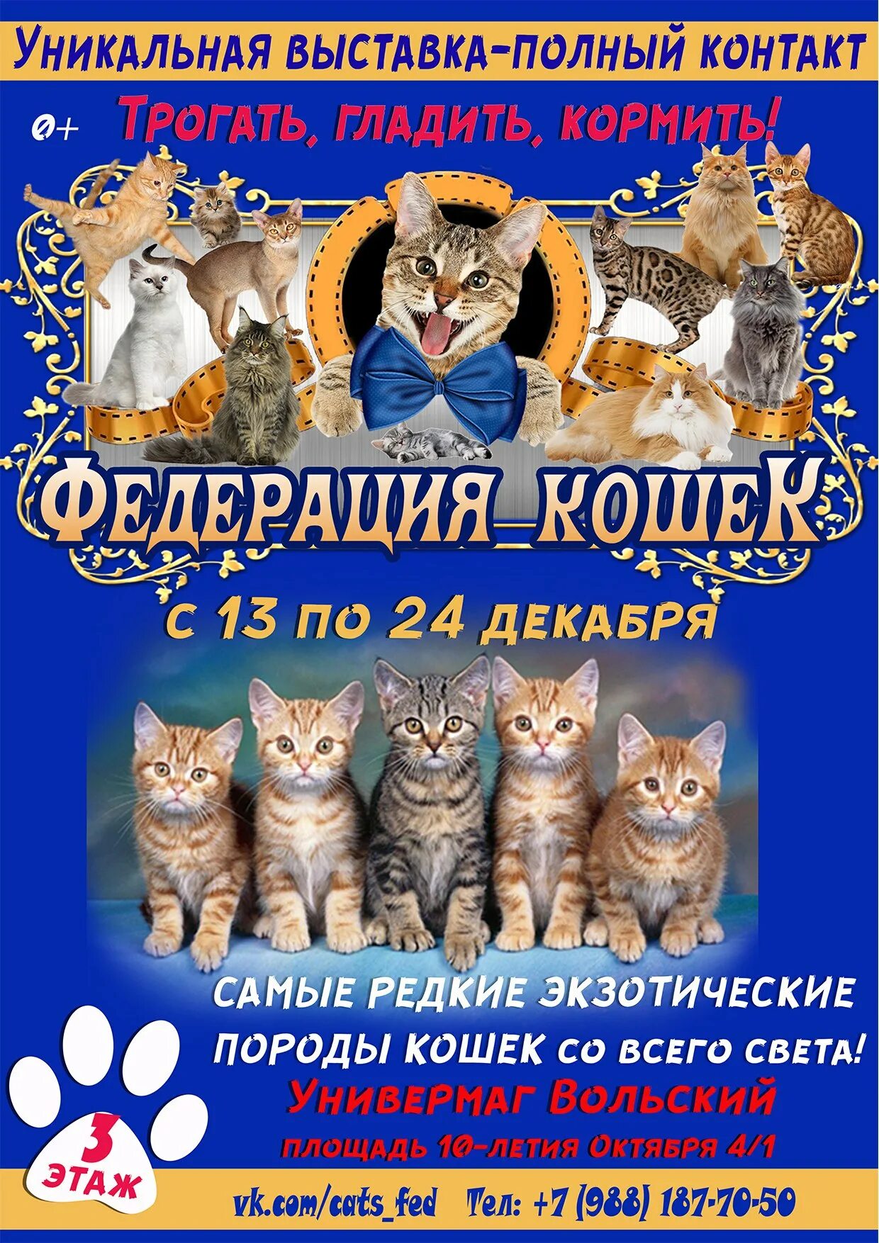 кошки вольск