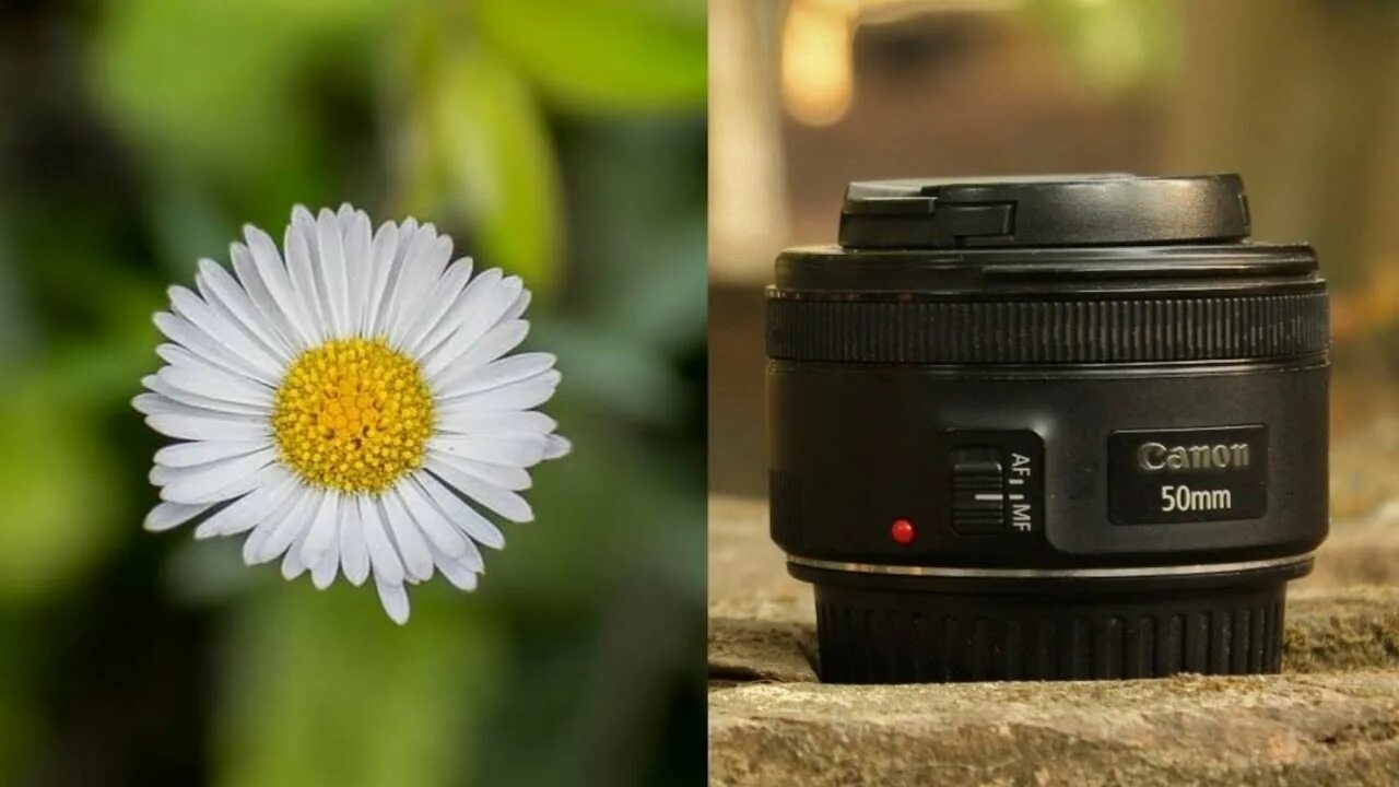 Canon EF 50mm f/1.8 STM. Canon EF Lens 50mm f1:1.8 STM. Canon EF 50 мм. Canon 50mm 1.8 STM. 50mm 1.8 купить