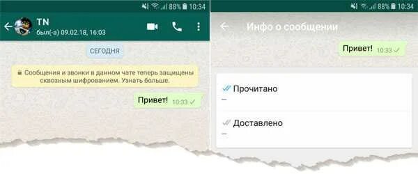 Как сделать в ватсап одну галочку сообщениях. Как сделать в ватсап одну галочку сообщениях