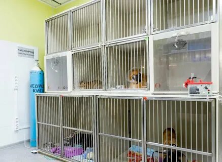 Котонай ул шубиных 26б отзывы
