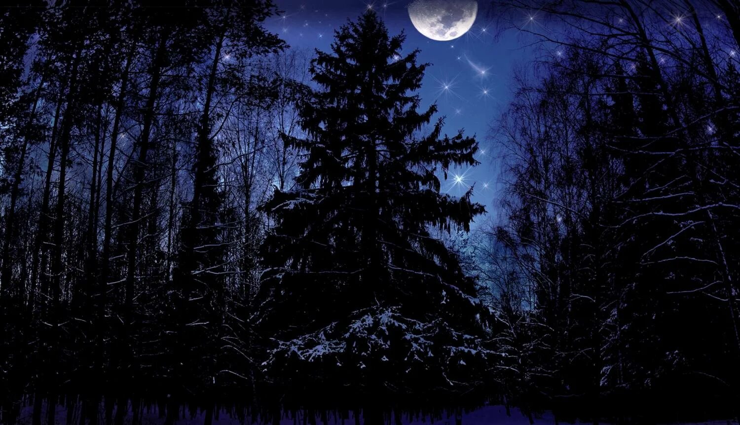 Ночами темными ночами длинными. Ночной лес. «Ночь в лесу». Ночной зимний лес. Темный лес с луной.