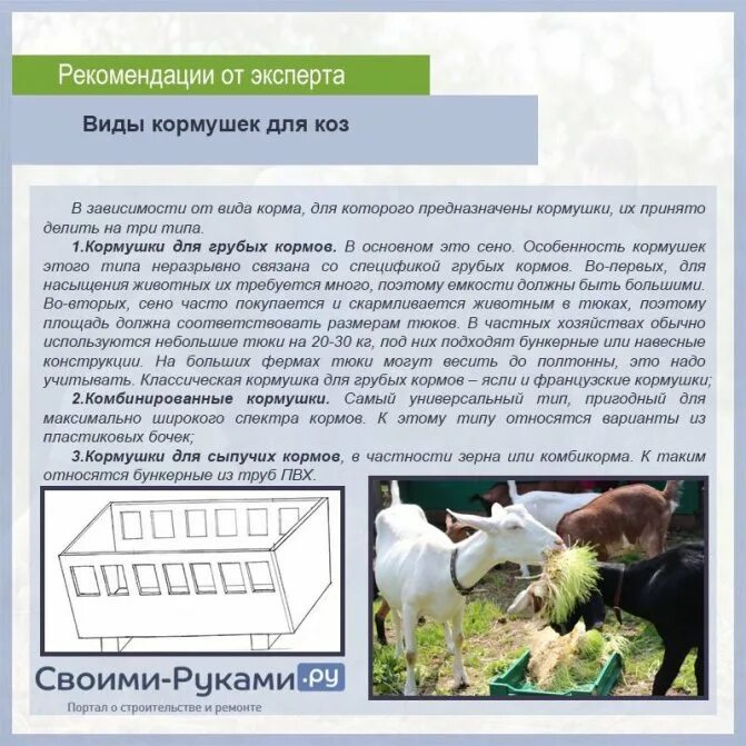 Как делать укол козе