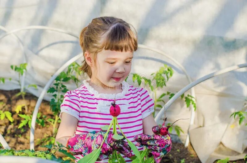 Девочка в саду новости. Маленькая девочка поливает цветы из шланга. Девочка в саду. Девочка в саду новости. Девочки во дворе.