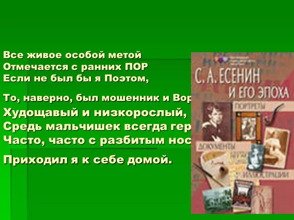 Особой метой. Всё живое особой метой Есенин текст. Худощавый и низкорослый средь мальчишек. Стихотворение Есенина средь мальчишек всегда герой. Есенин стихи всë живое особое метой отличается с раних пор анализ.