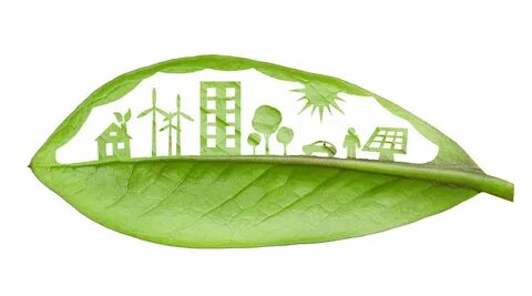 Ecological environment
