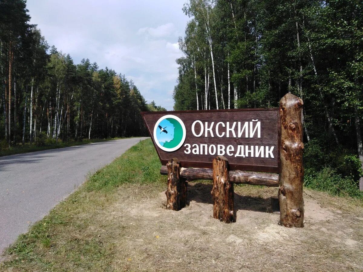 рицинский реликтовый национальный парк администрация. заповедники липецкой области. 11 января праздники в россии день заповедников и национальных парков. плакат о национальных парках и заповедниках. висимский заповедник тропа здоровья.