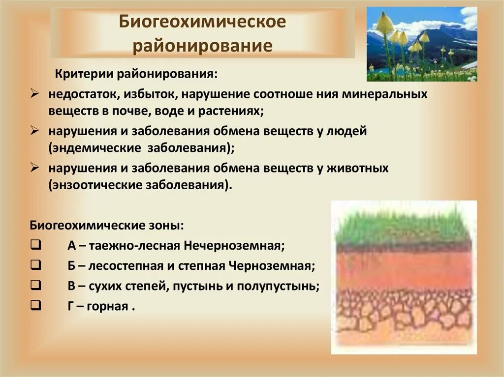 К каким природным ресурсам относятся почвы. Биогеохимическое районирование. Гигиеническая характеристика почвы. Заболевания почвы. Недостаток веществ в почве.