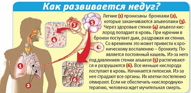 Свист в горле при выдохе. Если кашель и тяжело дышать. Почему человек может задыхаться. После кашля трудно дышать что это. Тяжелое дыхание кашель.