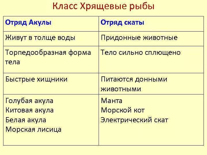 3 признака хрящевых рыб. Таблица по биологии 7 класс класс хрящевые рыбы. Биология 7 таблица : рыбы хрящевые, костные. ; Представители. Класс хрящевые рыбы таблица отряд характеристика представители. Биология 7 класс костные и хрящевые рыбы отряды.