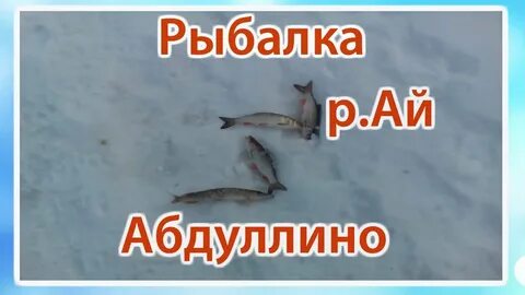 Ай ловлю