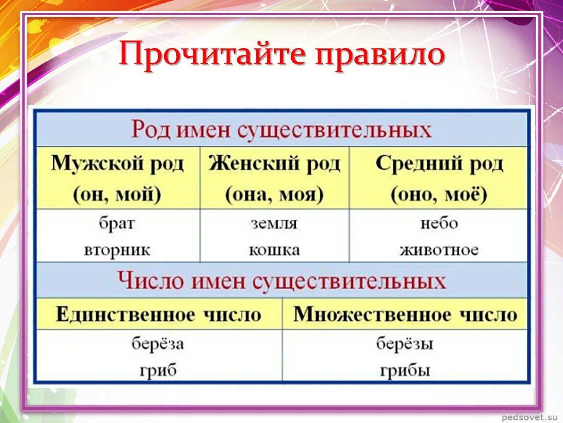 Дней род и число имен существительных