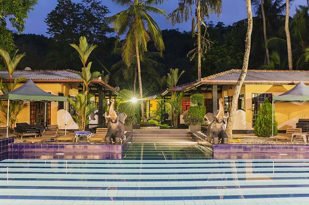 Плетистые розы берсо. Brief garden шри-ланка. Flower garden 3 отзывы. Flower garden шри ланка унаватуна. Flower garden 3 отзывы.