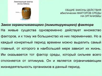 Закон общего действия это