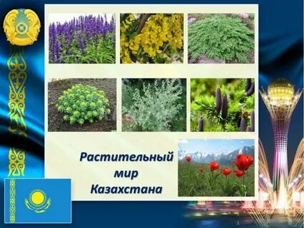 Работает ли мир в казахстане