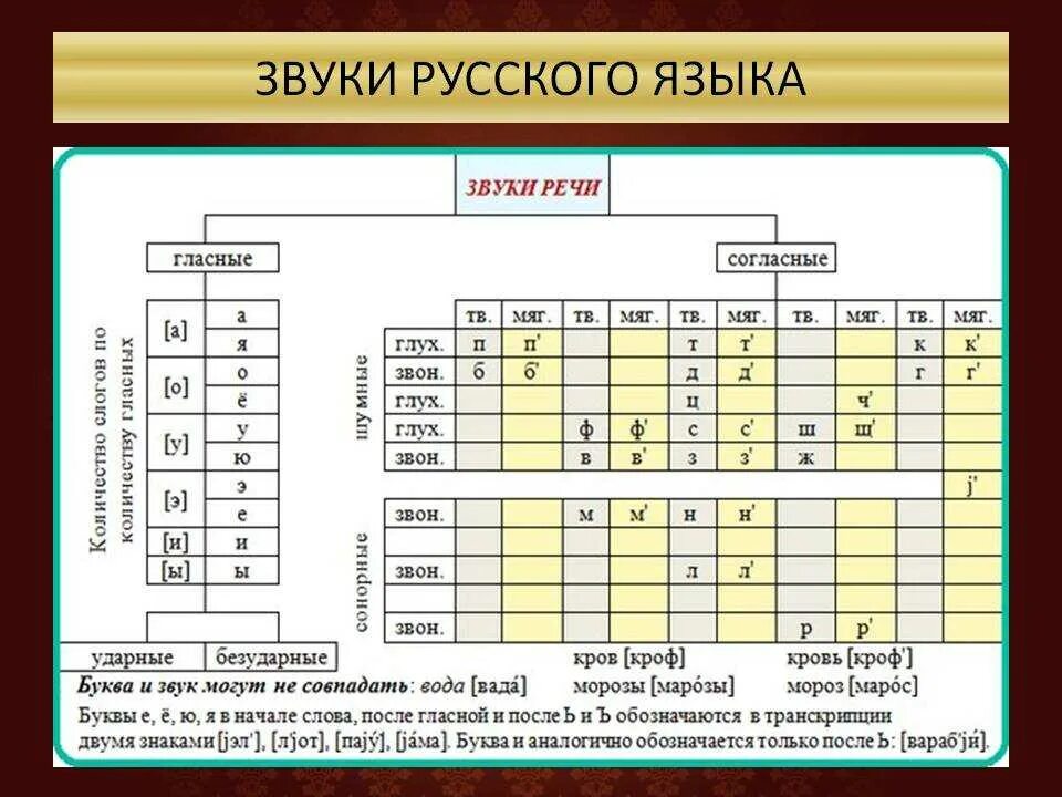 Звуки 4 класс таблица. Классификация согласных звуков русского языка таблица 2 класс. Классификация согласных звуков русского языка 5 класс. Характеристика звуков в русском языке. Фонетика классификация звуков русского языка.