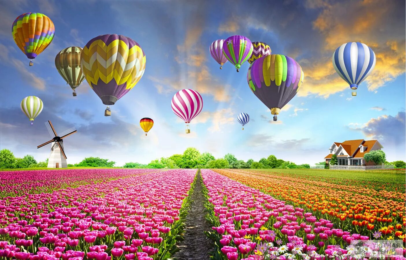 Взлет на шариках. Сердце в природе. Воздушный шар над полем цветов. Сердце лето. Дримкор эстетика поле с шаром.