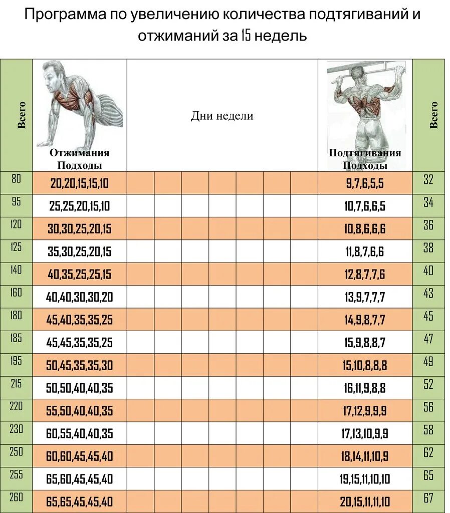 Максимальный отжимания. Таблица тренировок на турнике. Программа тренировок 15 недель подтягивания. Программа тренировок отжимания и подтягивания. Схема подтягиваний и отжиманий на брусьях.