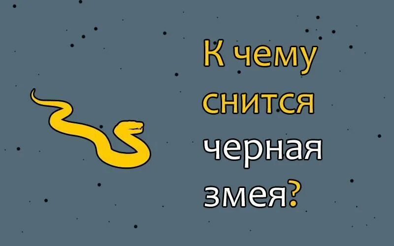 Что значит увидеть змею. Снится змея. Сонник змея приснилась женщине. К чему снится змея большая.