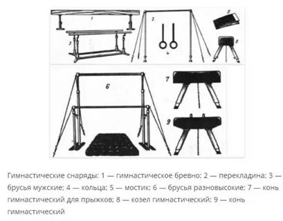 К гимнастическим снарядам относятся