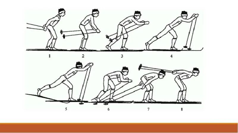 Одновременный одношажный скоростной ход. Одновременный одношажный классический ход на лыжах. Одновременный одношажный ход скоростной вариант. Лыжные ходы одновременный одношажный.