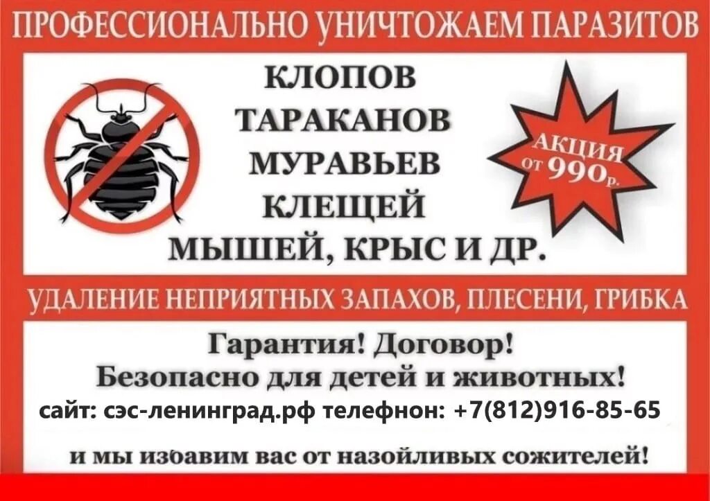 Тараканы вызов на дом
