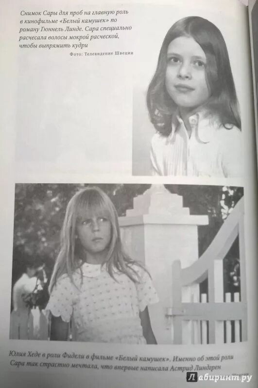 Ваши письма я храню под матрасом. Книга ваши письма я храню под матрасом. Письма под матрасом. Письма под матрасом. Книга ваши письма я храню под матрасом.