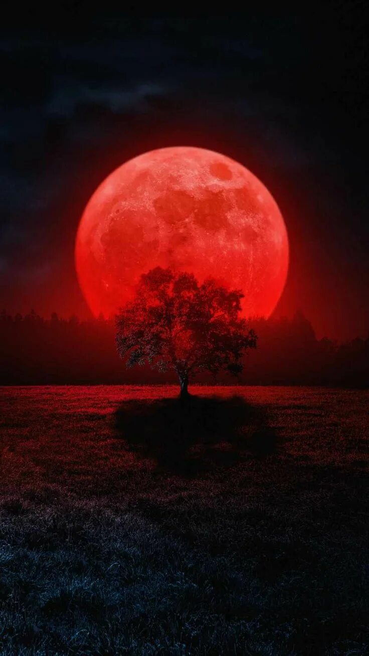 Blood Moon Obviously Inspiration For Many Paintings http://fc00.deviantart.net/f