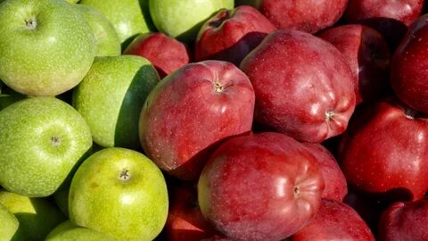 Fruit 2 fruit 1 apple
