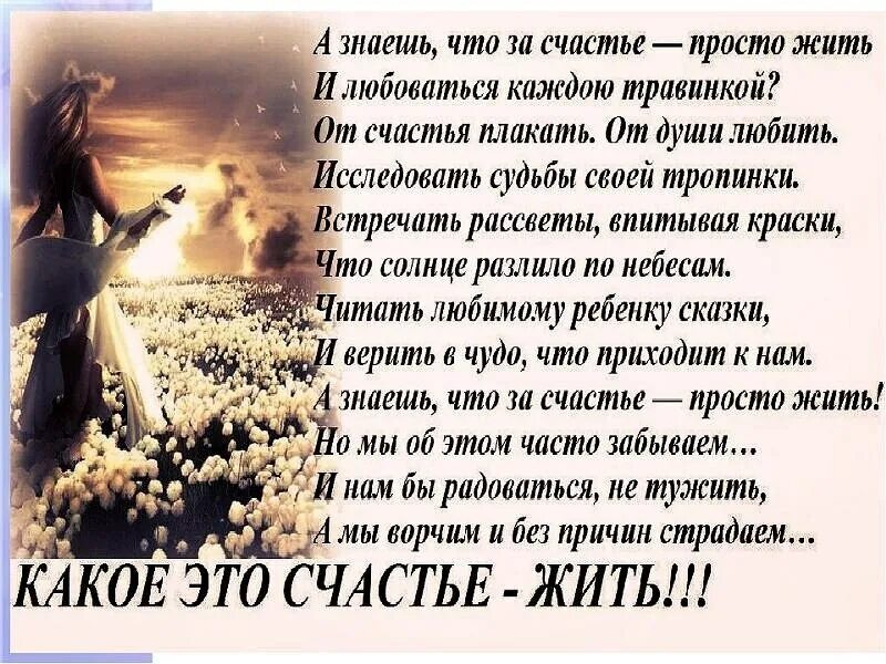 Это нужно живым стихотворение. Стихи о счастье. Стихи о счастье жить. Просто жить стихи. Стихи о счастливой жизни.